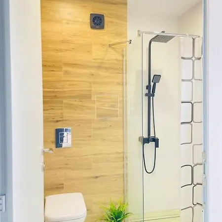 Designer Luxury 1bdr With Parking Apartment